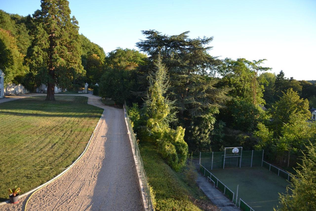 Chateau De Saint Ouen Les Vignes Экстерьер фото